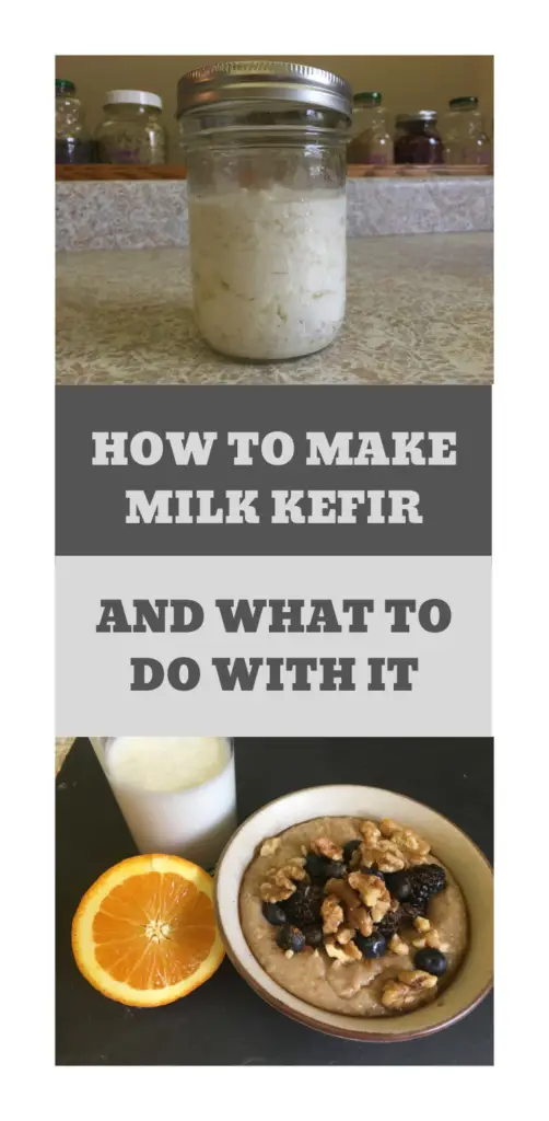 Making Milk Kefir: A Beginner's Guide - Vintage Kitchen Vixen