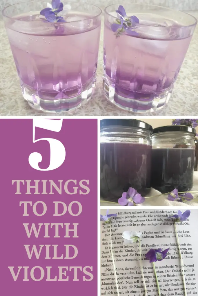 5 things to do with wild violets