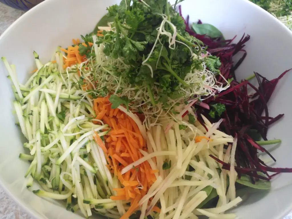 shredded salad with spinach, zucchini, beets, potato, carrots, alfalfa sprouts and parsley