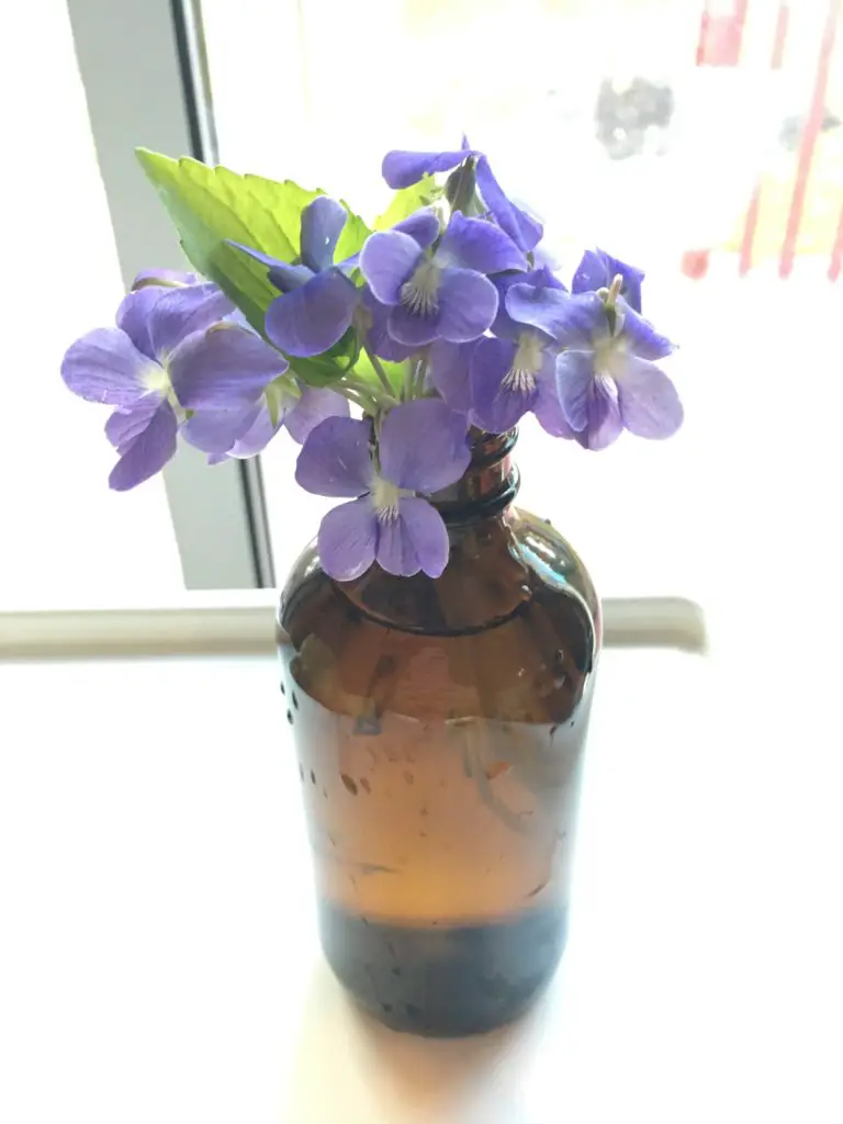 wild violet bouquet apothecary bottle