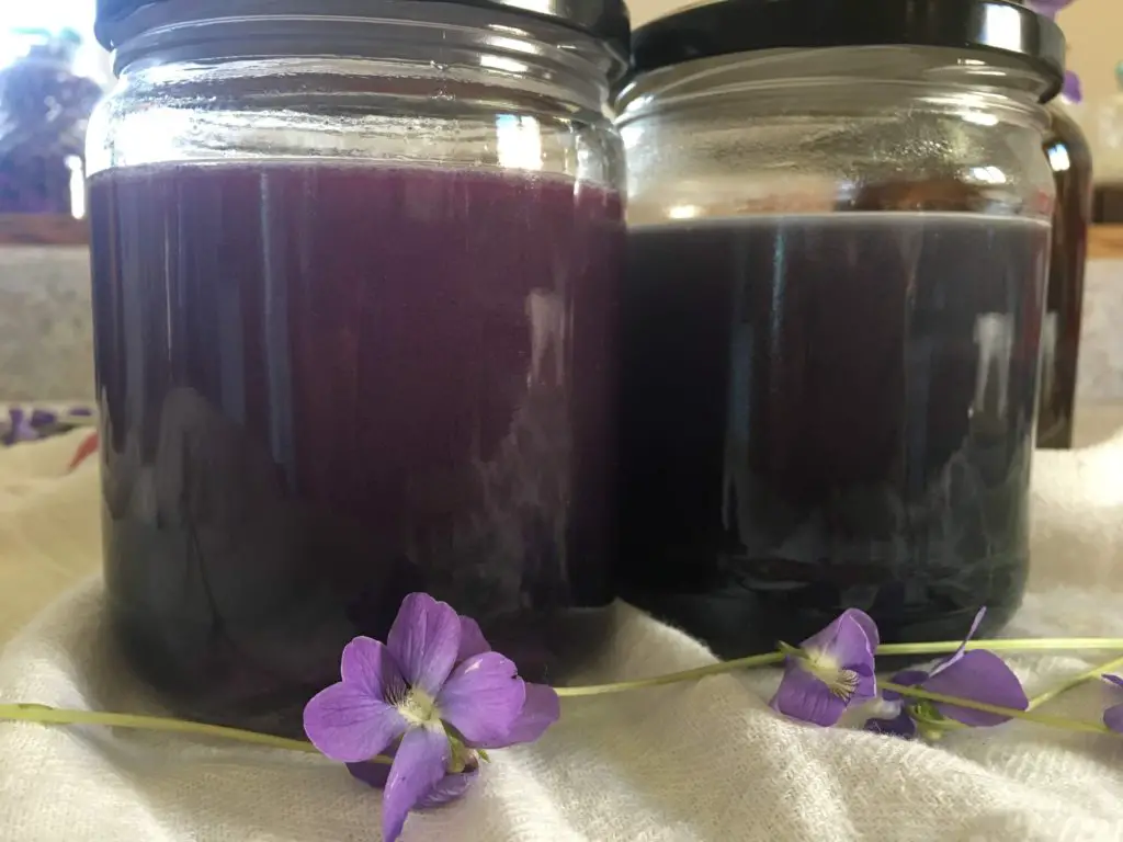 violet simple syrup