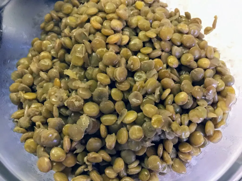 Cooked green lentils