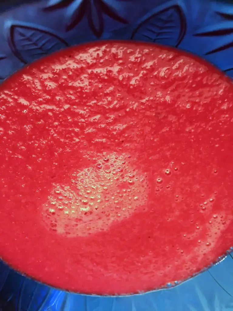 blended borscht