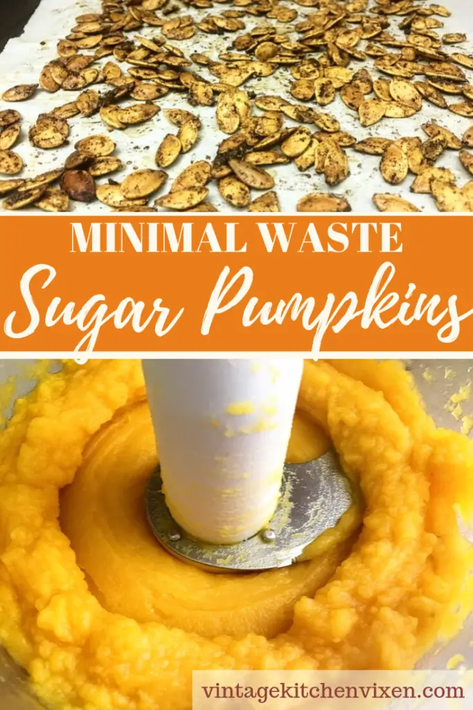 minimal waste sugar pumpkins pin