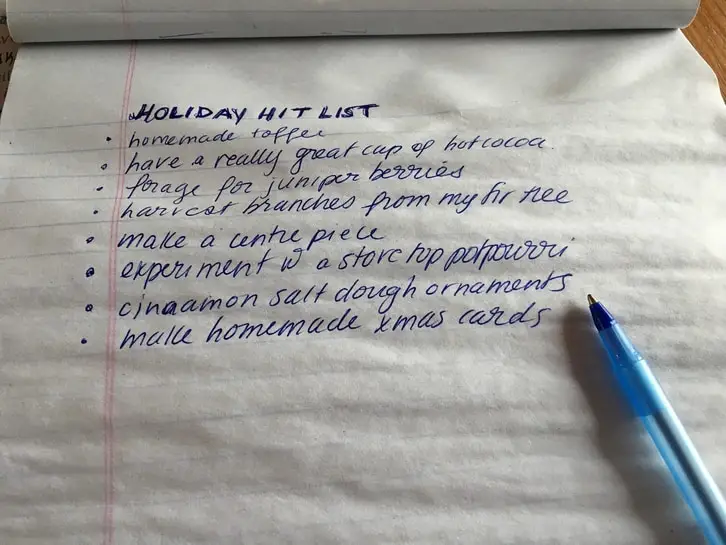 rough draft of holiday bucket list