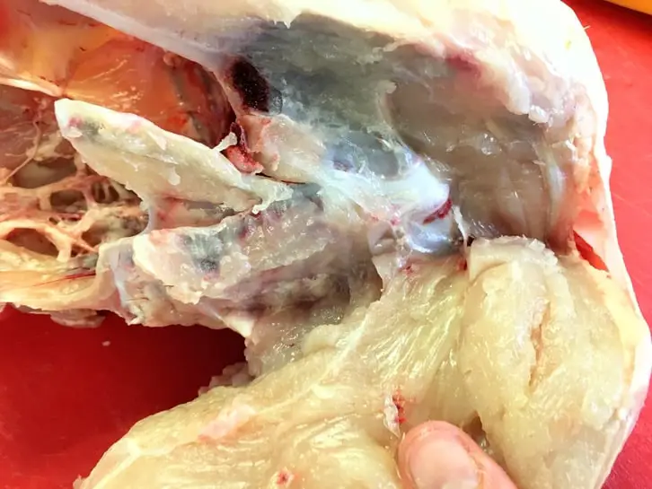 loosening a chicken breast while quartering a chicken