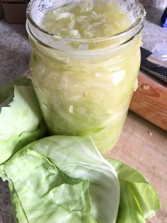 old-fashioned skills: making sauerkraut