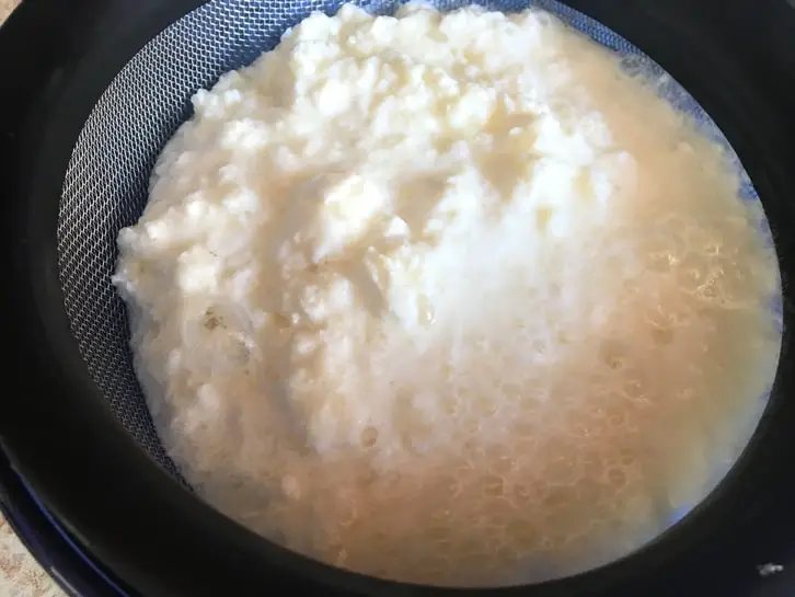 homemade milk kefir 