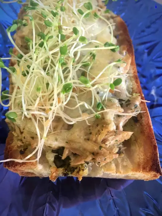 pesto tuna melt with alfalfa sprouts