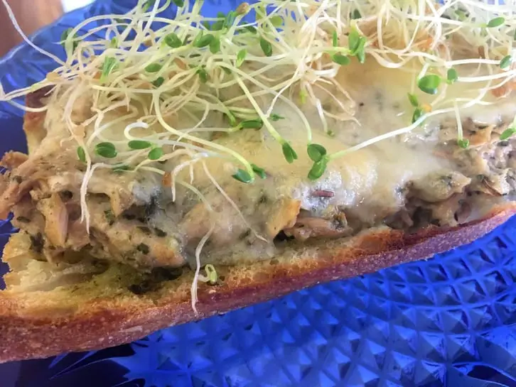 pesto tuna melt with sprouts for garnish