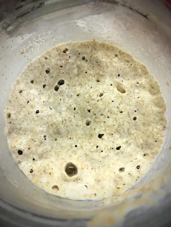 making and maintaining sourdough starter
