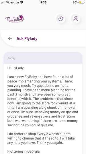 ask flylady screenshot